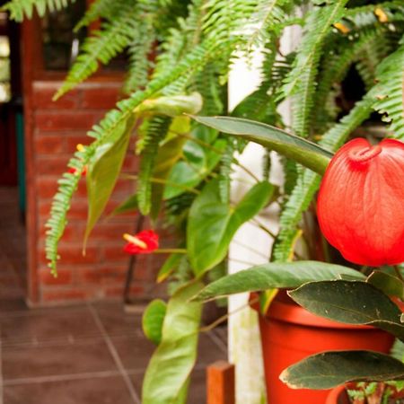 El Pedron Hotel Baños Eksteriør billede